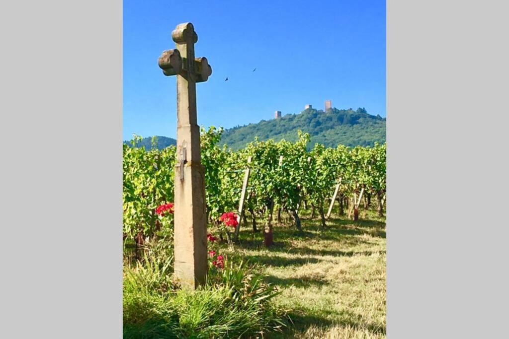 Gite à Eguisheim proche de Colmar et Kaysergberg. Exterior foto